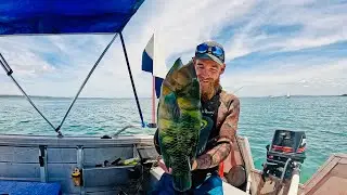 2 Days Solo Spearfishing | 2-10m Deep | Island Catch & Cook