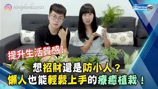 想招財還是防小人？　懶人也能輕鬆上手的療癒植栽！@ChinaTimes