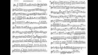 Friedrich Kuhlau_The Robbers' Castle_Overture_100_vn1_sol VID 20250205 091612