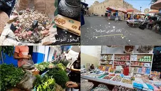 جولة في بلاد العربي سوسة شرينا البخور مع روتيني في المطبخ