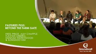 Свиньи на пастбище: за воротами фермы &mdash; Groundswell 2025