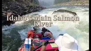 Whitewater Rafting the Main Salmon River in Idaho's Rocky Mountains | GoPro POV