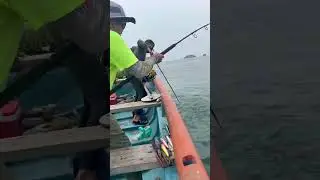 #fishing  malvan fishing