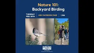 Nature 101: Backyard Birding