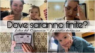 DOVE SARANNO FINITE?🎄Libro del Risparmio • La nostra domenica ❣️