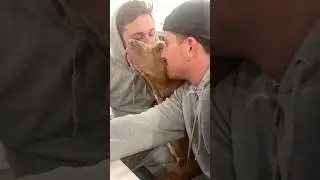 When you mimic your dog&rsquo;s behavior#dog #funny #funnyvideos😂😂 #happy #animals #dogsoftiktok