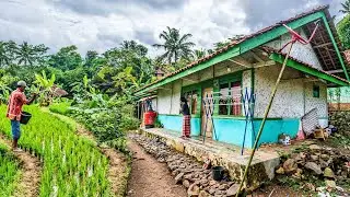 SUASANA KAMPUNG YANG BEGITU TENANG DAN DAMAI SAAT PAGI DI PEDESAAN CIAMIS🌿😍