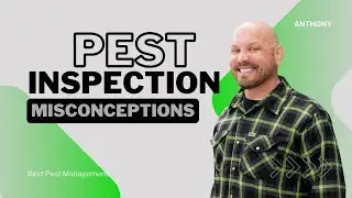Wood Destroying Pest Inspection