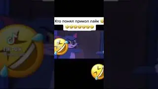 Кто понял прикол лайк.ТИК ТОК