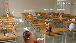 Ralidad tristemente