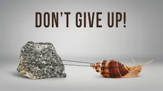 October 19th, 2025  | Don't Give Up | Pastor Richard Stout @ Tampa Community Church