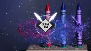 SSM TM - Ding Dong