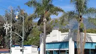 AIDA Weltreise 20252026 #16 San Diego-Santa Barbara