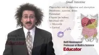 Homeschool with Educator.com!