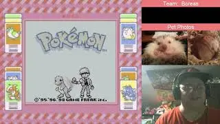 Pokémon Red: Pidgey/Pidgeot - Part 01