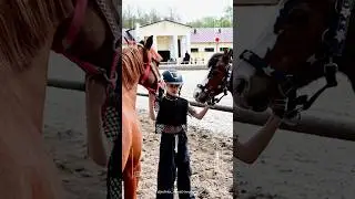Мои 🤍🤎 #конныйспорт #horse #mypony #ponylover