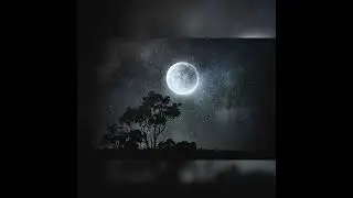 Explore the secret of personality through moon reading free (link in description)