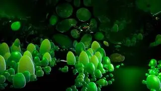 Planet Alpha часть2