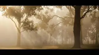 Nature [no Copiring Music&Video]
