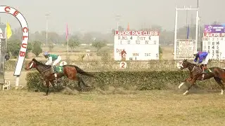 4th Race Saeed Butt Memorial Cup Distance 1200 Meters Winner Sultan ( Pakistan Horse Racing )