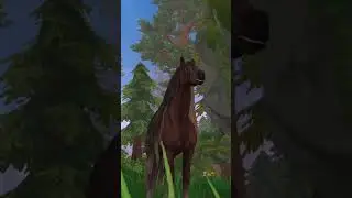 Proč nejsou SSO př&iacute;běhy #sso #starstable
