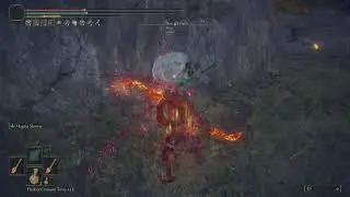 ELDEN RING: Stamina... Gone agaaaiiinnnn!
