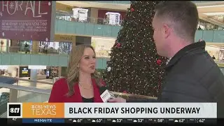 Galleria's Grand Tree Lighting Celebration during Black Friday shopping