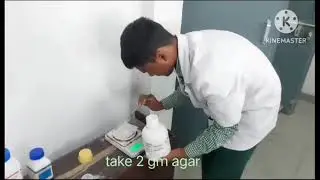 culture media prepared and sterilize//microbiology //b.pharma 3rd semester