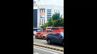 Bus color in Korea