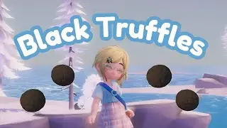 14 Black Truffle Location in 3 Min | Heartopia Guide