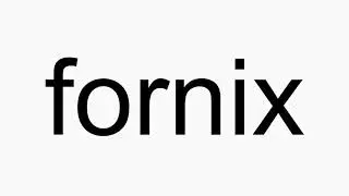 How to pronounce fornix