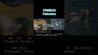 FINNEAS - Palomino Guitar Chords Lyrics #shorts