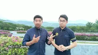 Nirvana SkyCapital