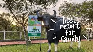 Cheap and best resort for family in Idukki Kerala |Greenberg Resort|