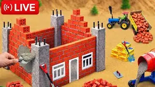 live Mini house construction