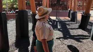 Luca Disneyland Redwood Forest Zipline