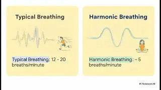 The Science of Harmonic Breathwork for Mental Clarity (Coherent Breathing Explained)