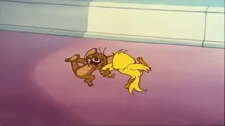 ostre balety 💊 spadają skarpety 🧦