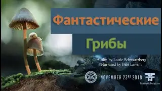Фантастические Грибы. Документальный фильм (Fantastic Fungi) 2020