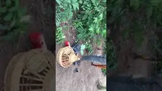 IFA INITIATION 2018