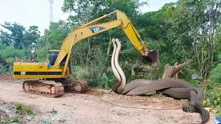 JCB Poclain is digging a pond in the forest. #excavator#chain  💯✅