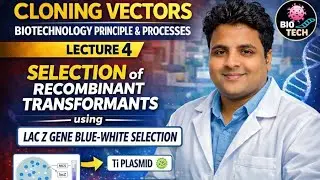Cloning Vectors Explained | pUC8 & lacZ Gene Blue White selection| Ti Plasmid & Retroviral Vectors 