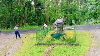 Gorumara Natonal park . 1 August 2021 .Ac College 61BN NCC cycling ture