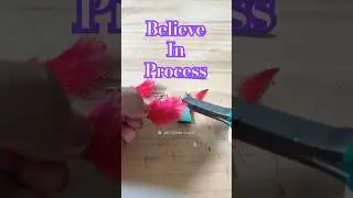 Wait for final result 🫶🏻 #shorts #trending #trendingbeats