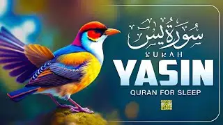 سورة يس 💖 Surah Yaseen | Heart-Touching Quran Recitation | Peace Of Heart Quran