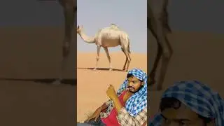When Oil was discovered in middle East!! #shorts #satire #history #geopolitics