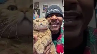 Give it up for lil Parmesan!!! We back! #cats #cat #catvideos #freestyle #rap #thecatrapper #kitty