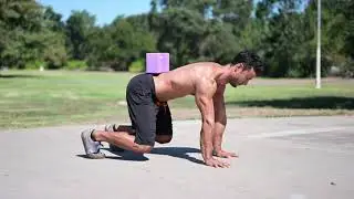 Quadruped Static Hold - Height Performance Exercise Demo