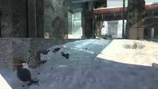 Last Stand Head Shot - Call of Duty: Black Ops