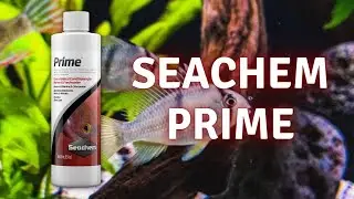 Que es? - Seachem Prime - Como Utilizarlo?